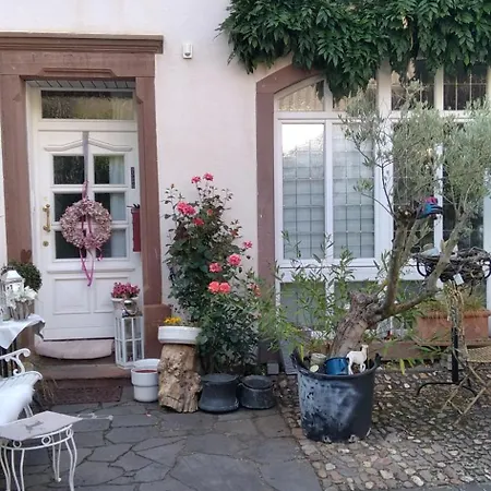 Altes Winzerhaus Apartment *